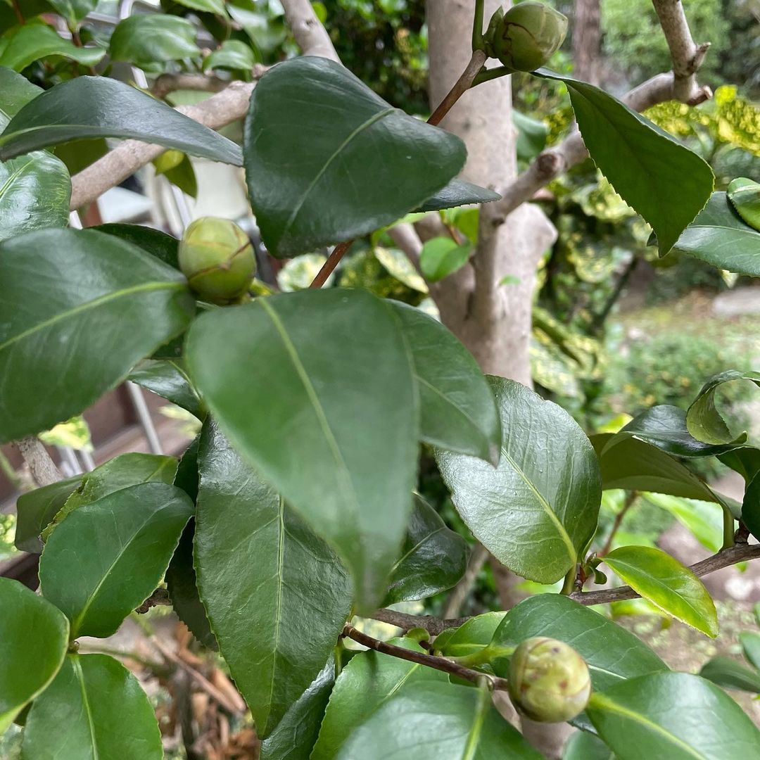 【ちょっと一息】6