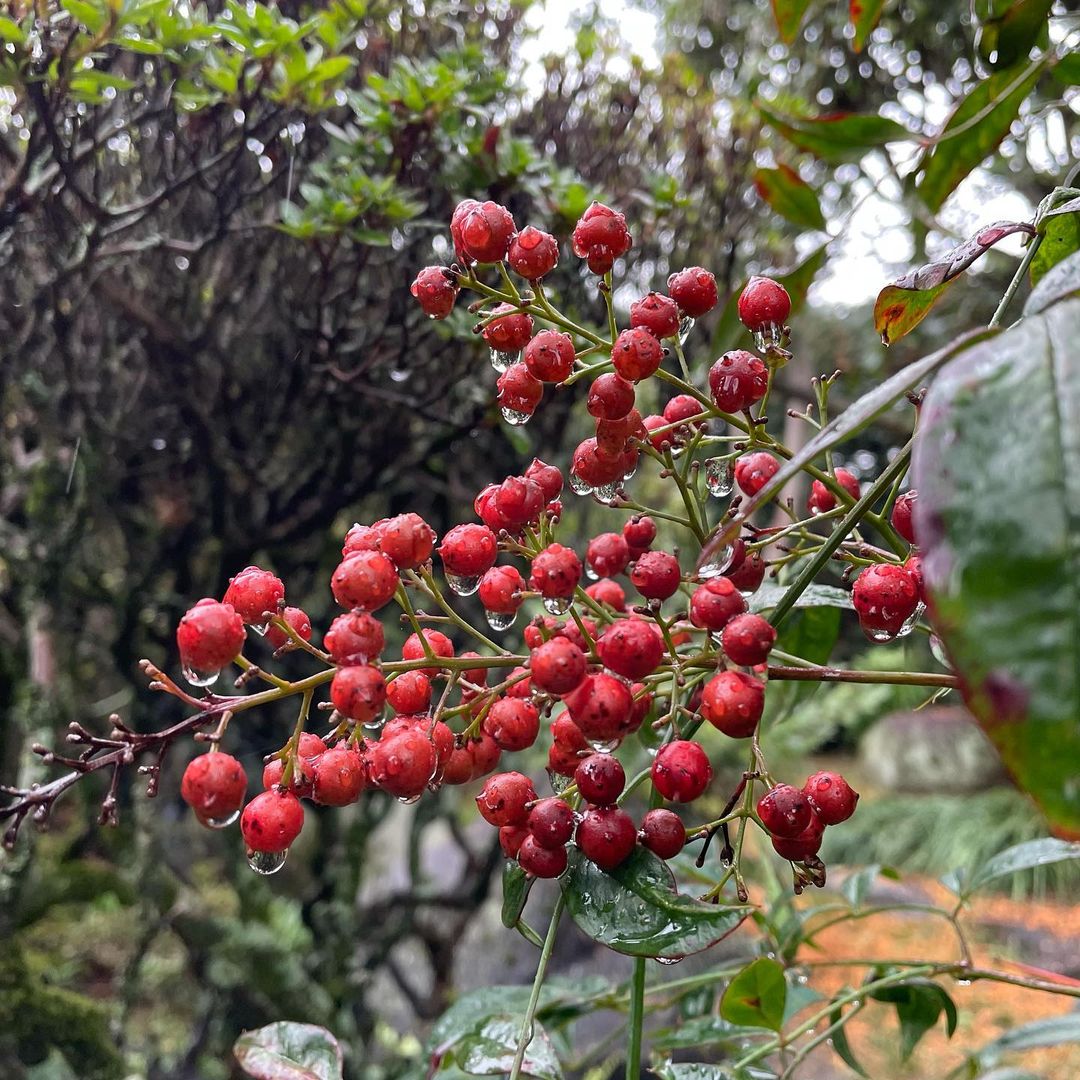 【㊗︎ お誕生日!!】4