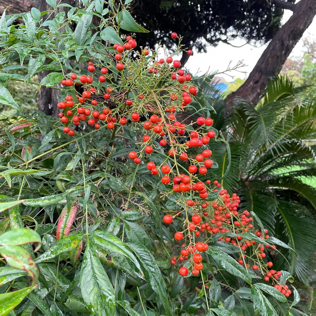 【㊗︎ お誕生日!!】5