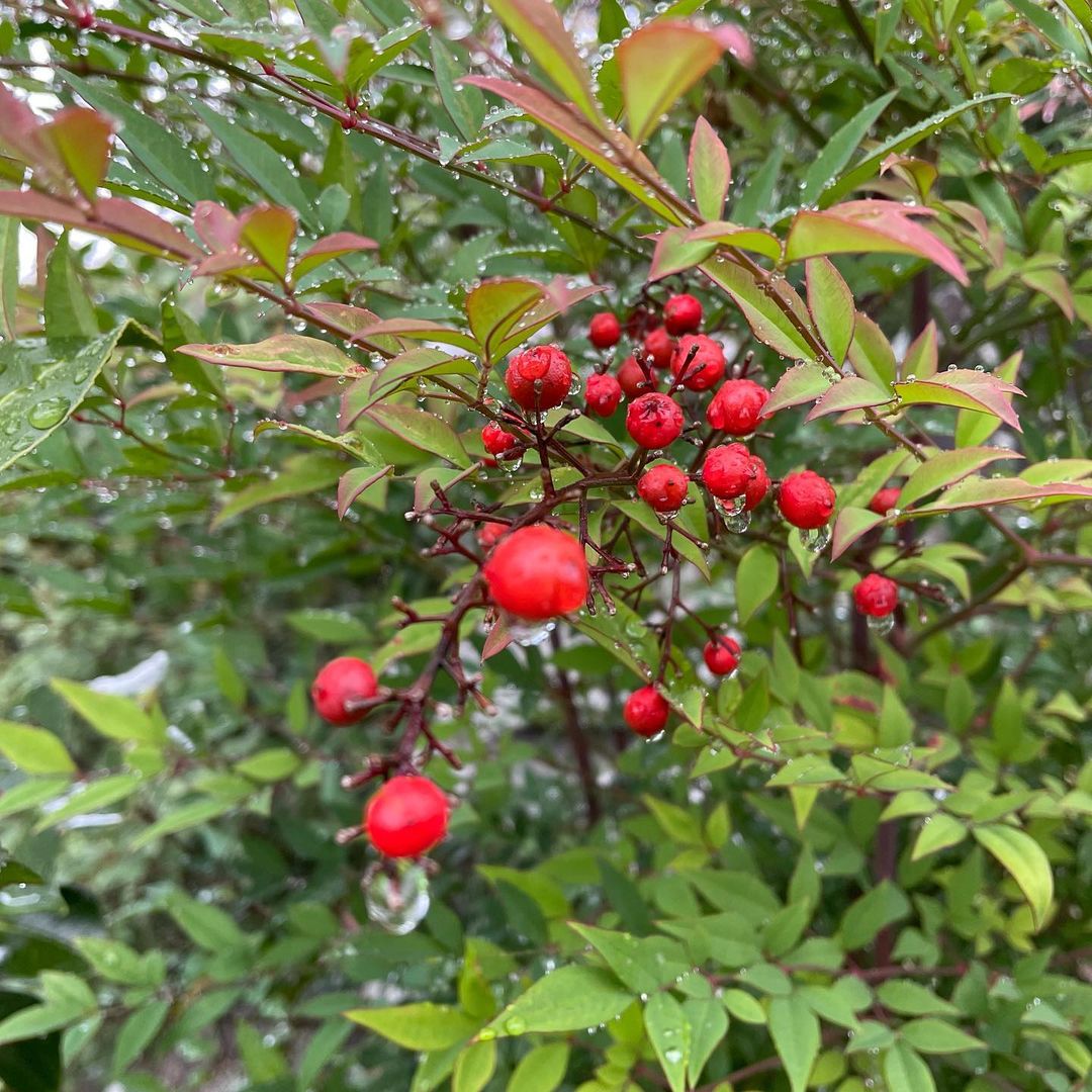 【㊗︎ お誕生日!!】6