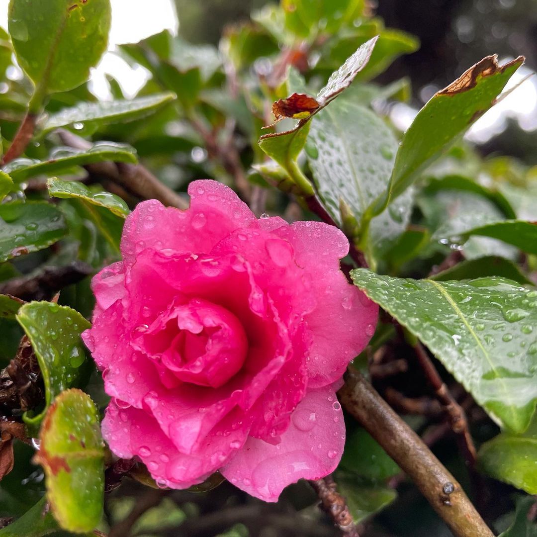 【㊗︎ お誕生日!!】7