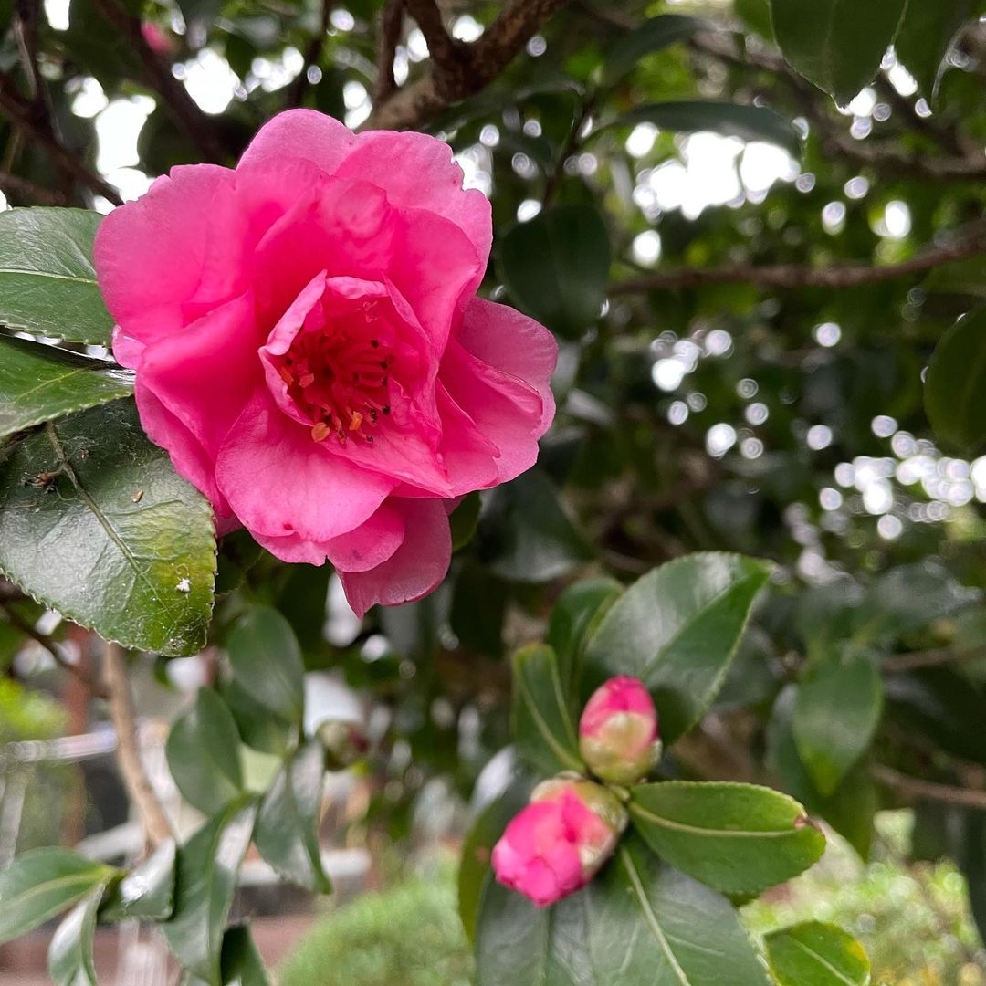 【㊗︎ お誕生日!!】8