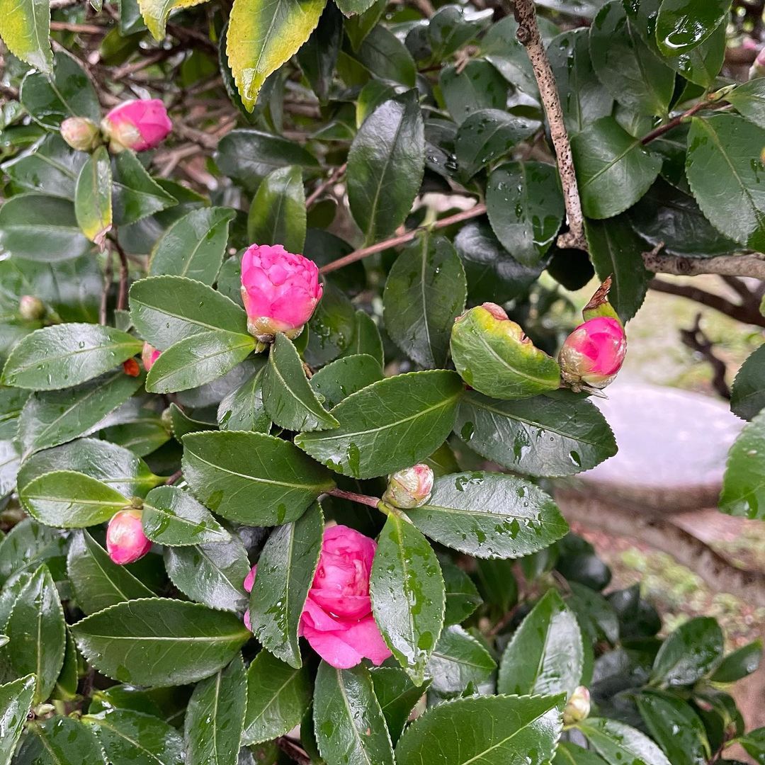 【㊗︎ お誕生日!!】9