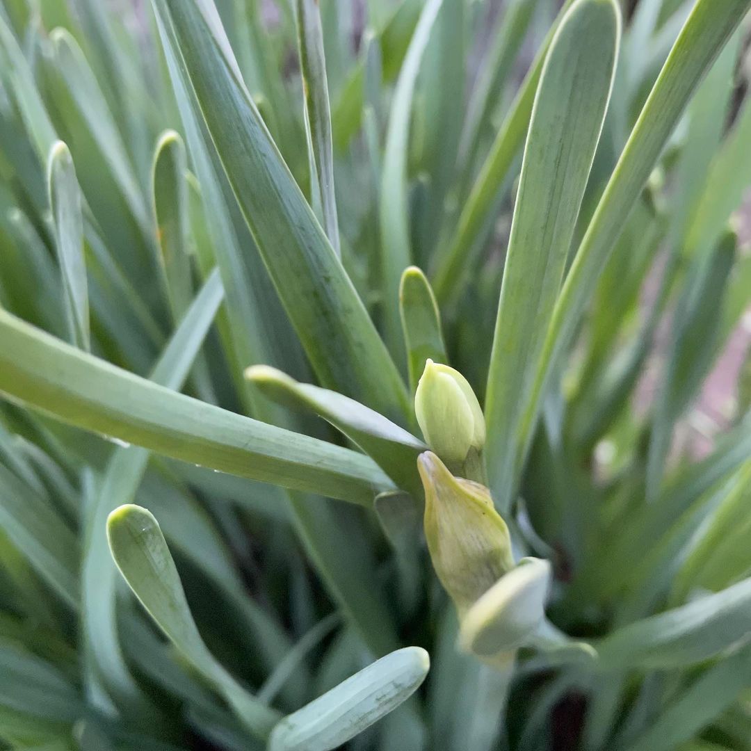 【冬至なので】7